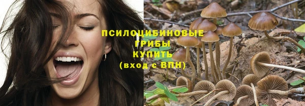 ECSTASY Вязьма