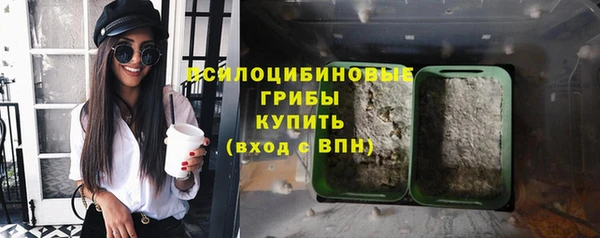 герыч Вяземский