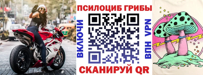 Псилоцибиновые грибы GOLDEN TEACHER  OMG ТОР  Березники 