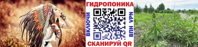 где купить наркоту  Березники  МАРИХУАНА тримм 